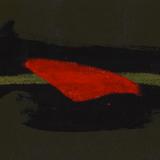 crow